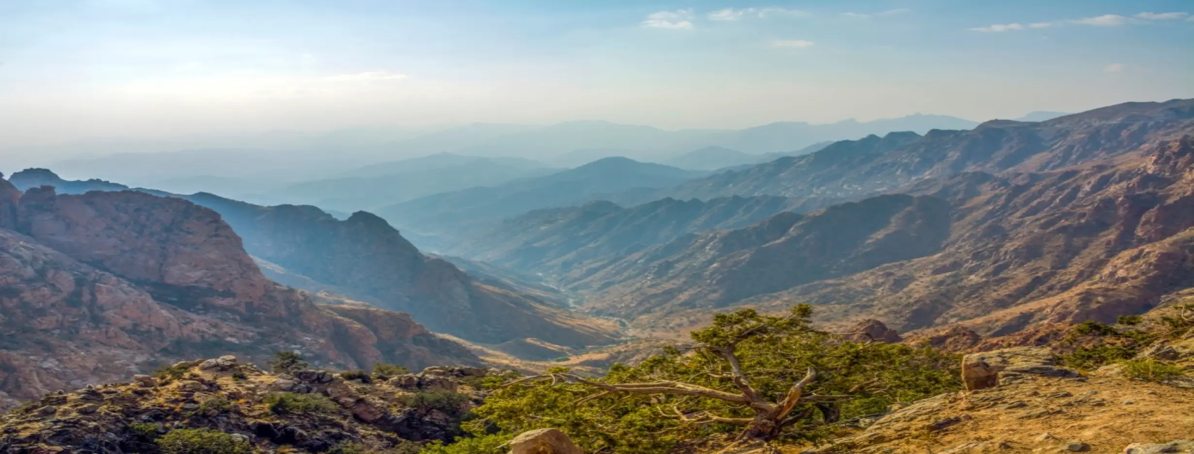 Image for Scenic Beauty